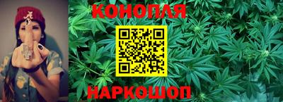 гашик Краснокаменск