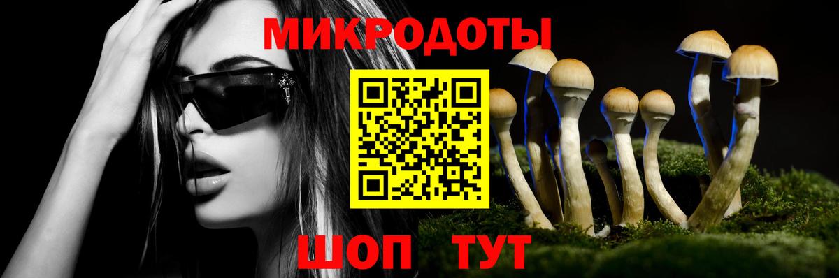 Звенигород  Галлюциногенные грибы мухоморы  Вход с VPN 