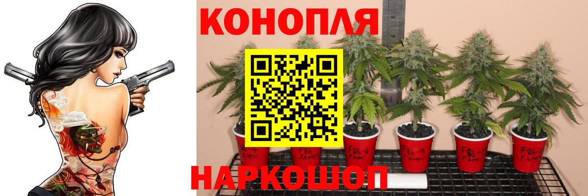 Канабис конопля  Конопля марихуана  Звенигород  Вход с VPN  Шишки марихуана тримм  Канабис OG Kush 