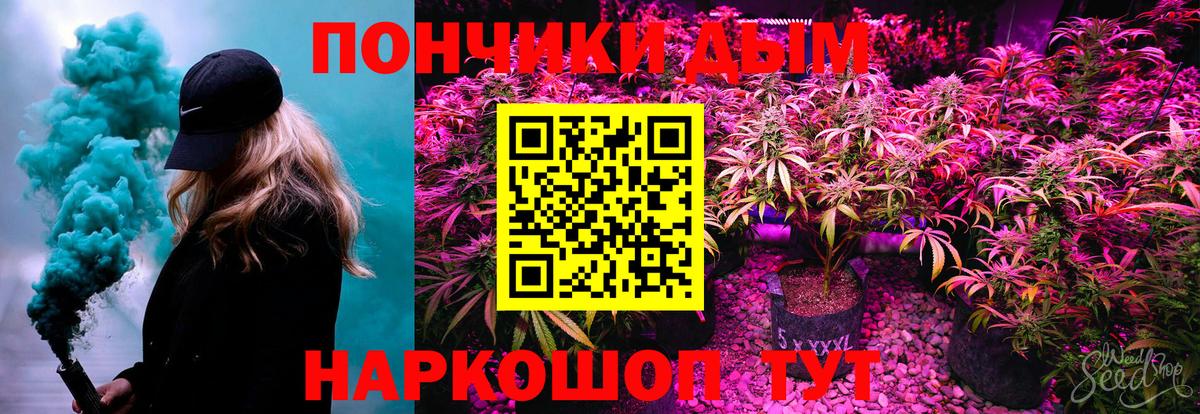 Бошки марихуана план Звенигород